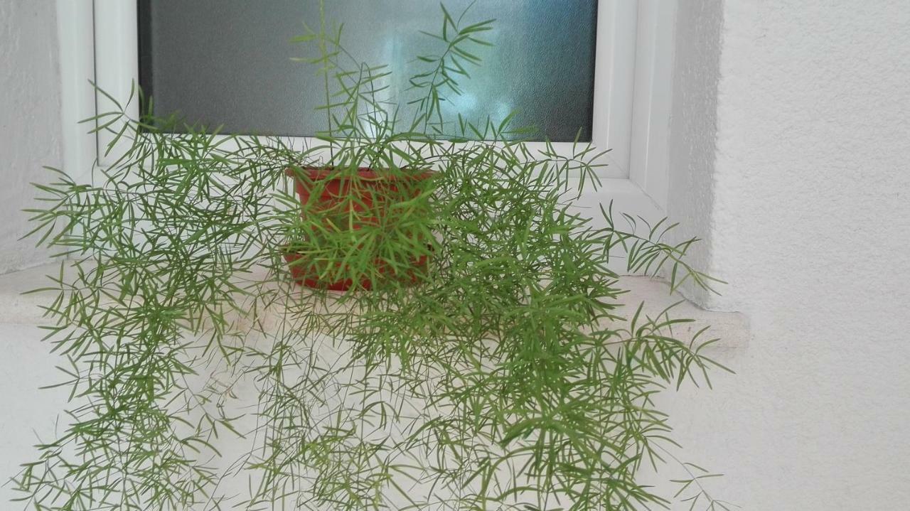 Downtown Apartment Durdica Split Kültér fotó